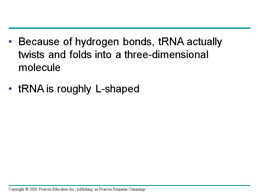 Because of hydrogen bonds, tRNA actually twists and folds into a three-dimensional molecule tRNA